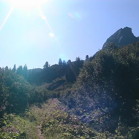 Casa de hóspedes Backstuba Partenen