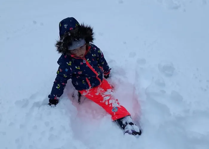 Gasthof Backstuba Partenen